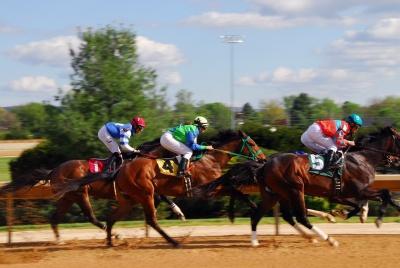 The Economics of Horse Racing