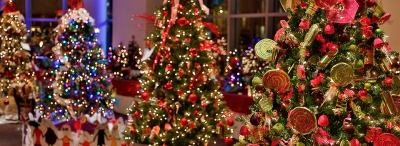 Catholic Charities Hosts 27th Annual Saratoga Festival of Trees Event